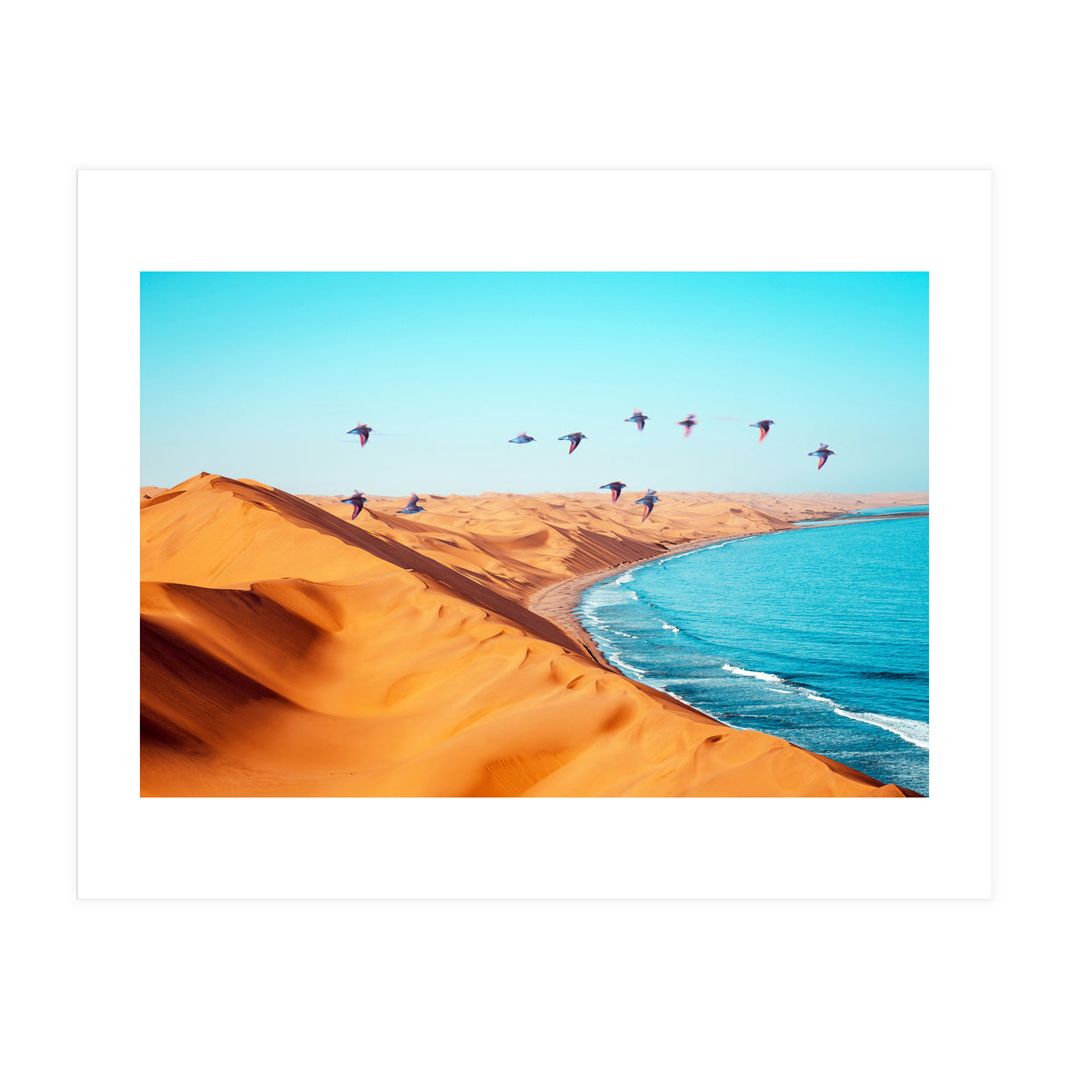 Desert Birds (Print Only)