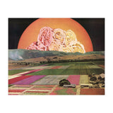 Untitled (Print Only) thumbnail