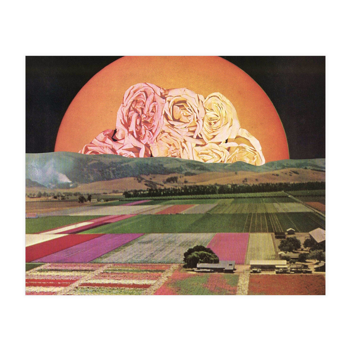 Untitled (Print Only)