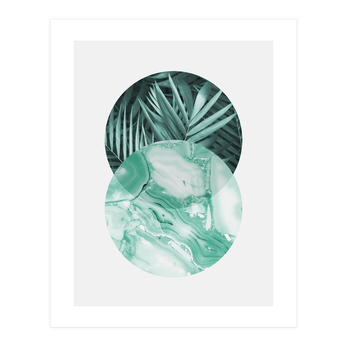 Botanical and geometric IV (Print Only)
