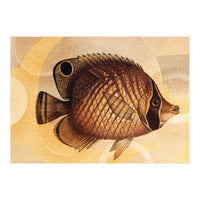 Fish Between Circles 3 (Print Only)