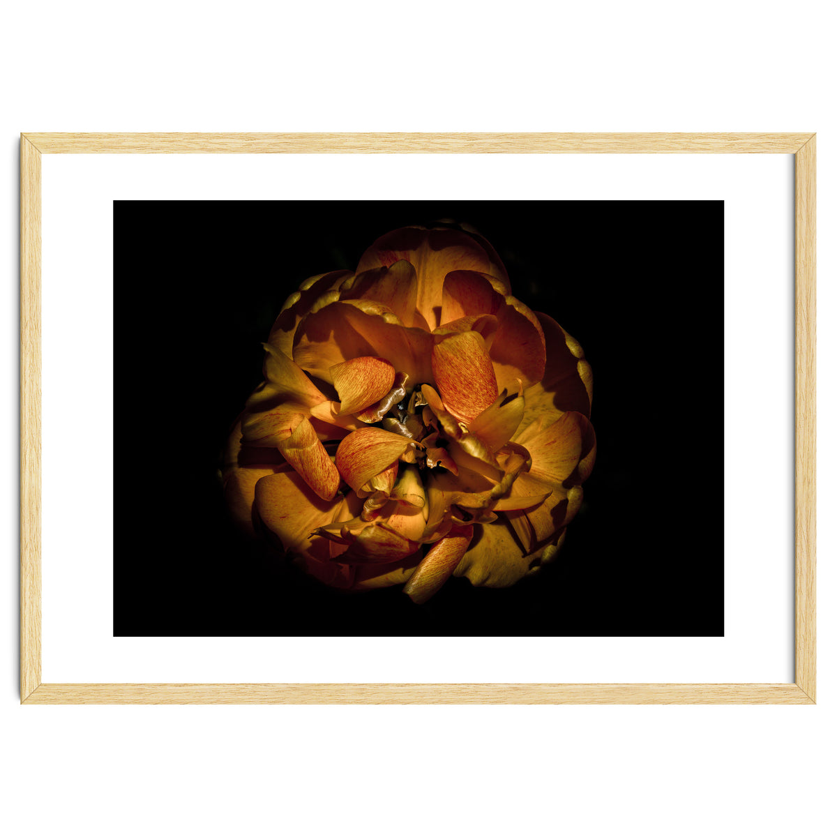 Backyard Flowers No 80 Color Version