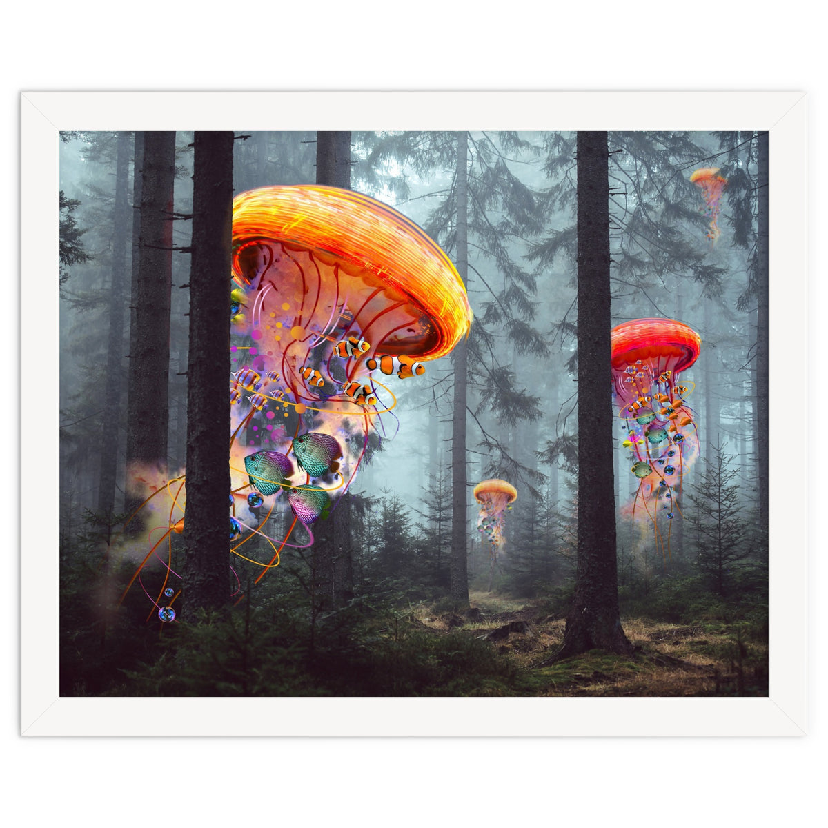 Forest Jellyfish For Print7000