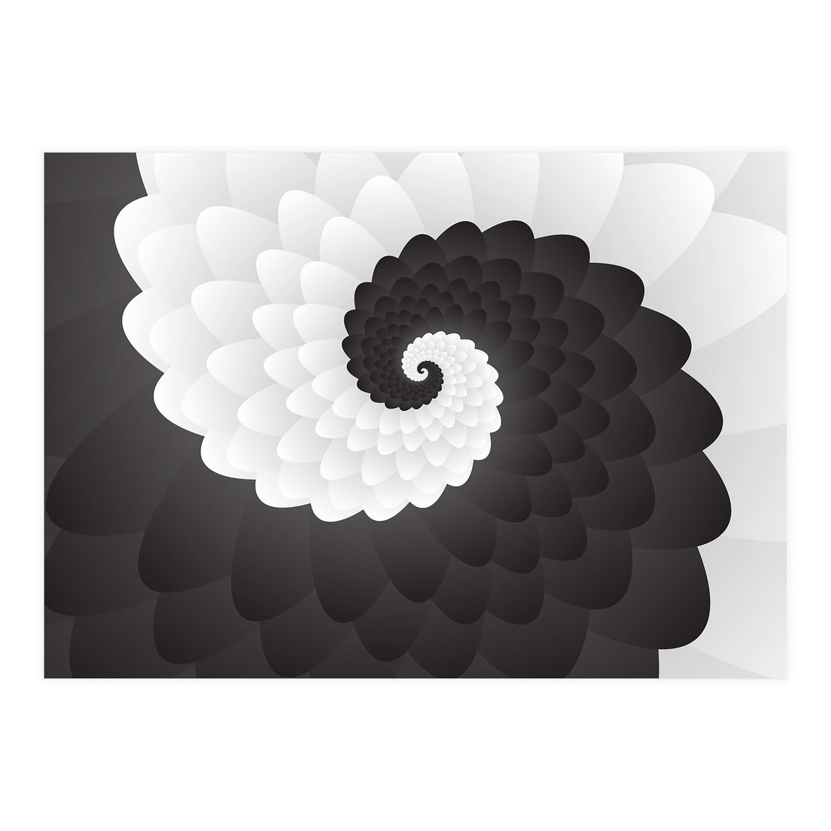 Mono Chrome Spiral Pattern  (Print Only)