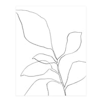 Six Leaf Plant (Print Only)