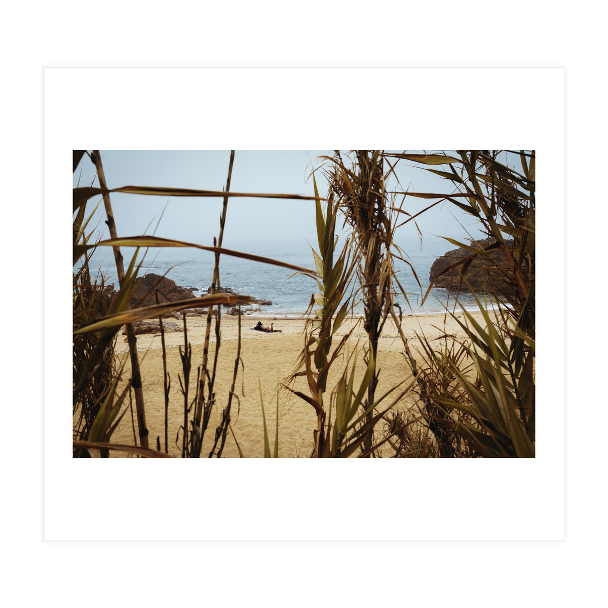 The Lure of a Tan (Print Only)