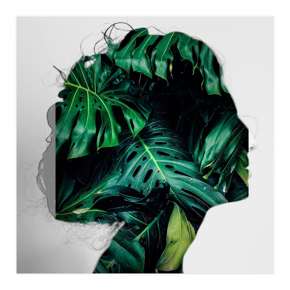 Crazy Woman 208 (Print Only)