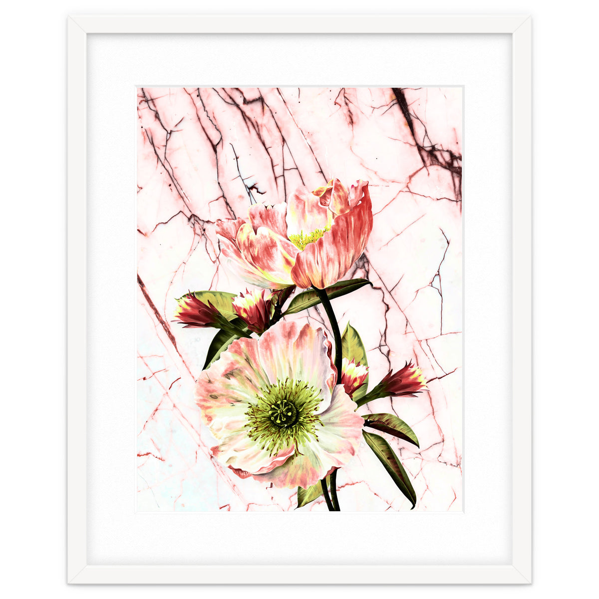 Flowering on pink marble