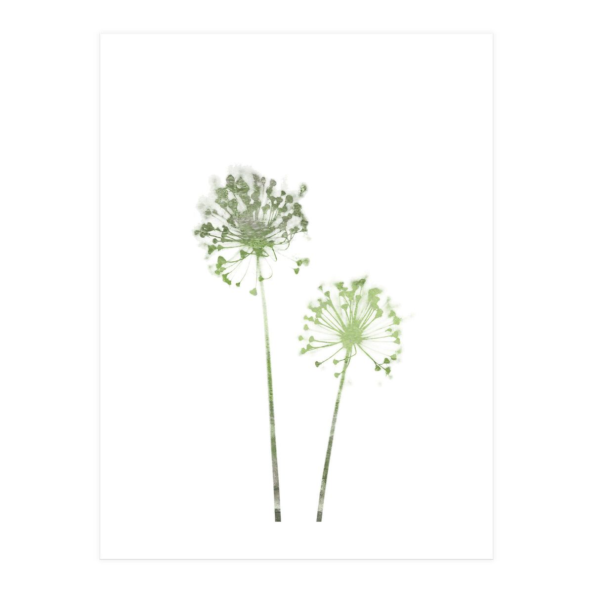 Olive Green Dandelion (Print Only)