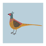 Pheasant (Print Only) thumbnail