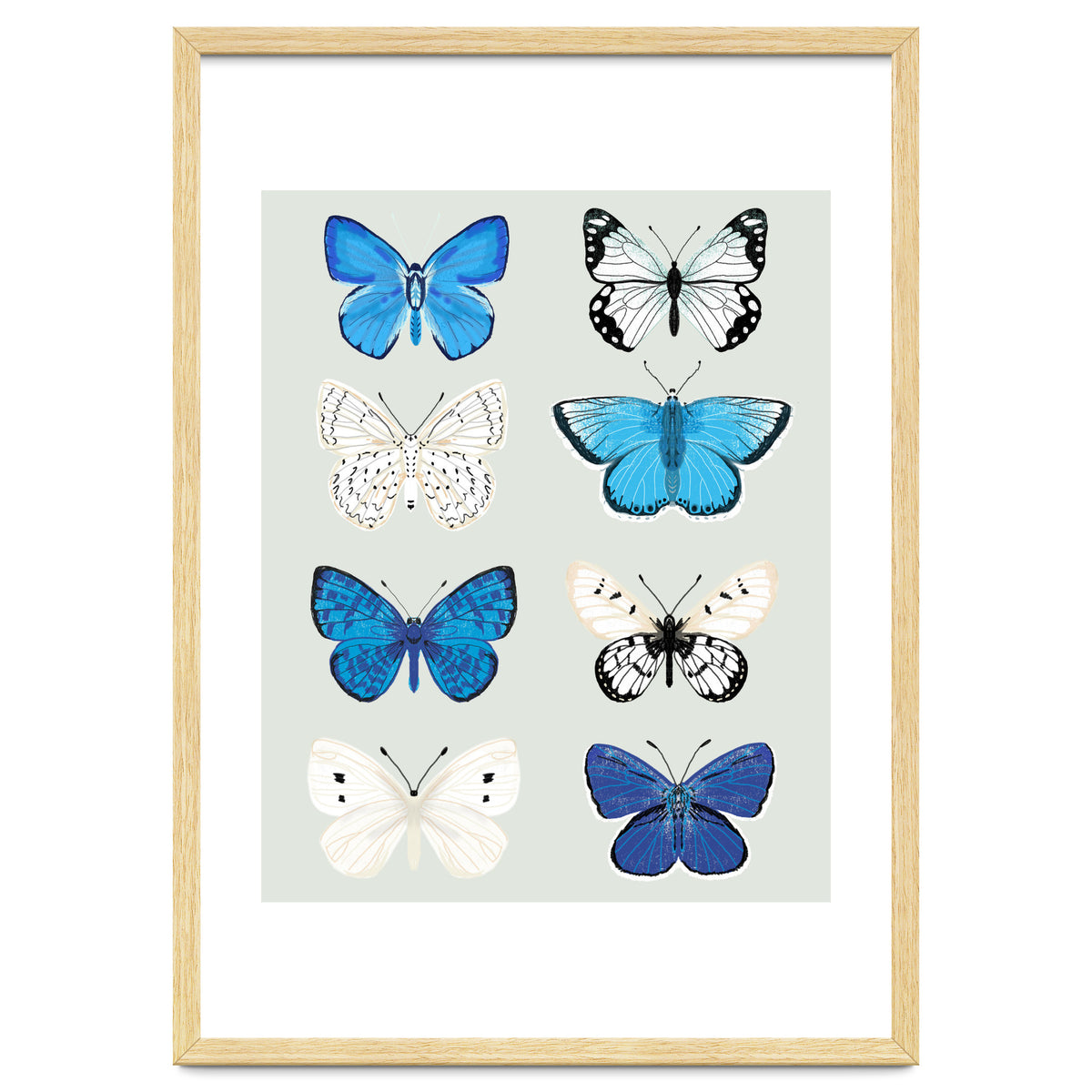 Lepidoptery Study No. 3