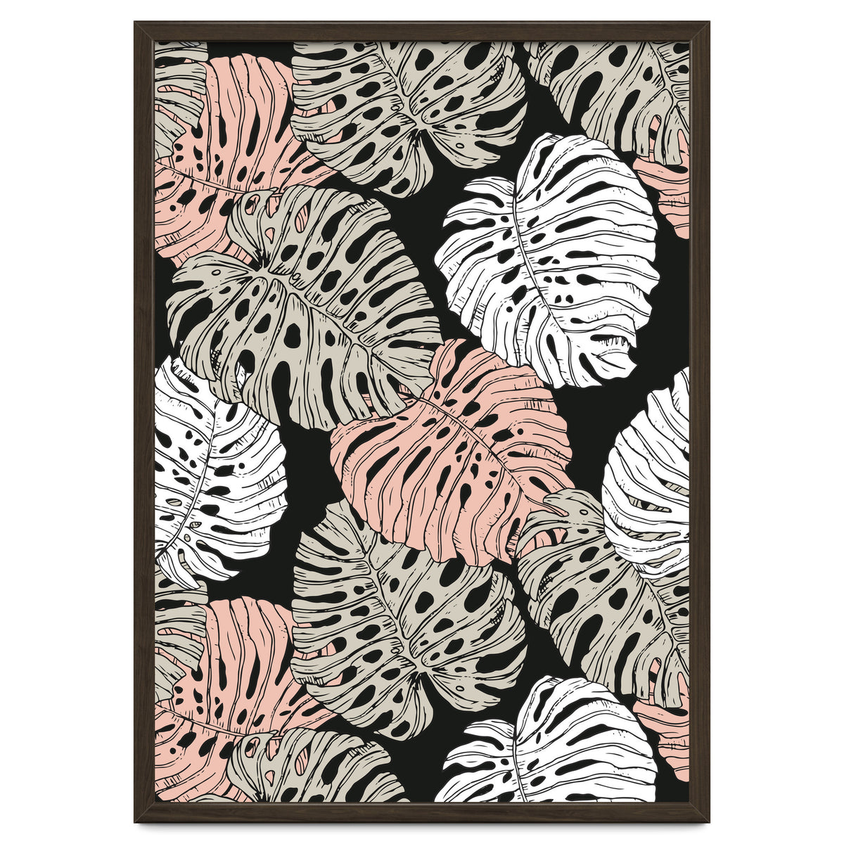 Monstera in the darkness of the jungle