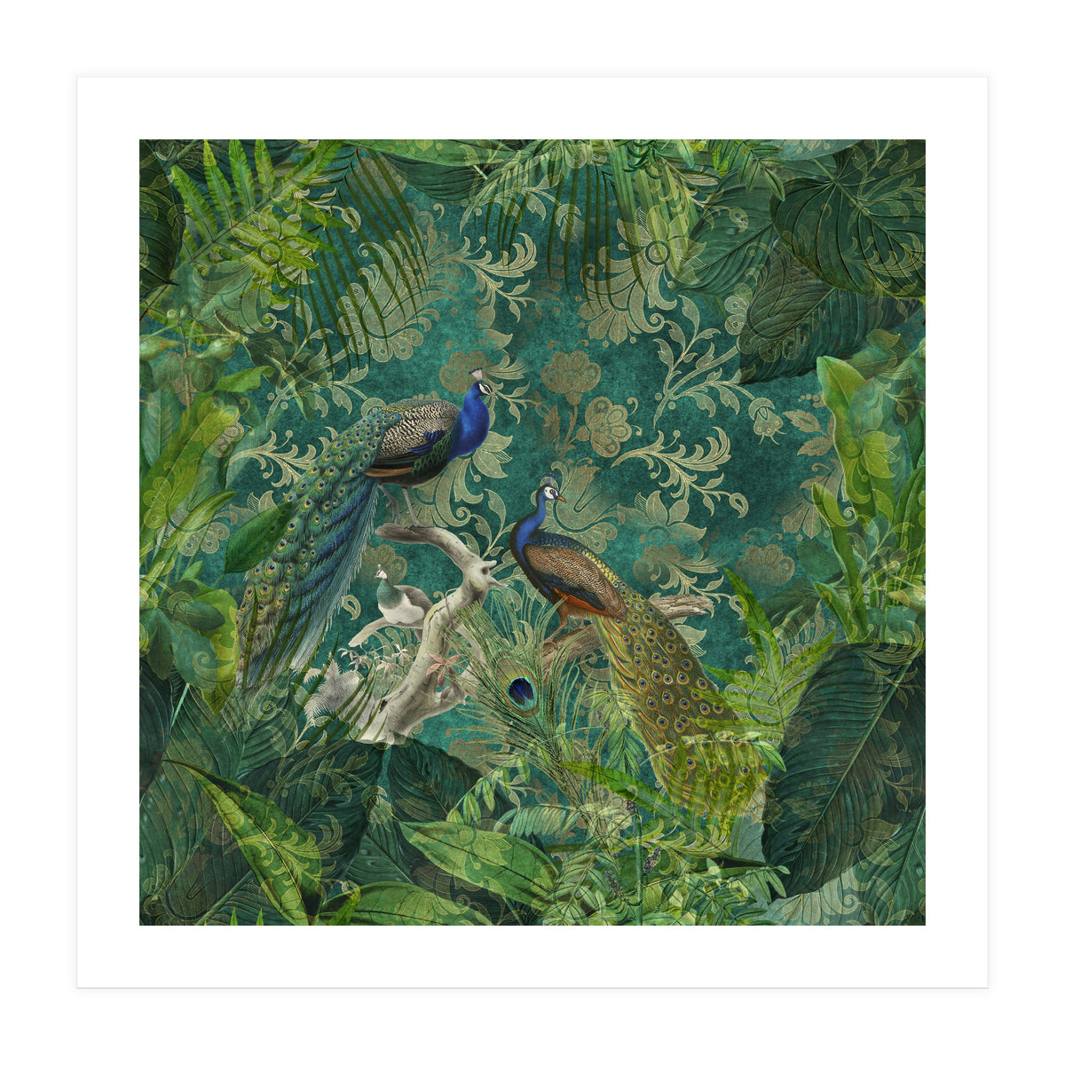 Mystic Peacocks (Print Only)
