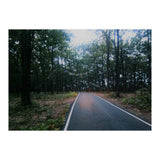 In To The Wild (Print Only) thumbnail