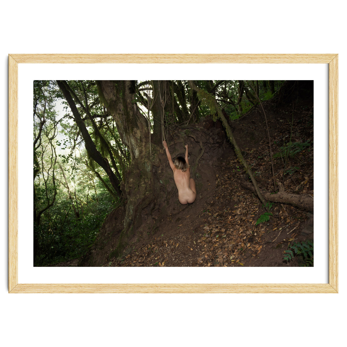 The kids Are all Wild