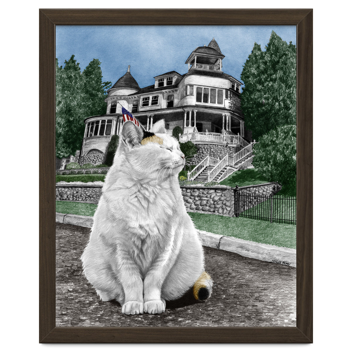 Mackinac Island Cat