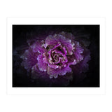 Backyard Flowers No 42 Color Version (Print Only) thumbnail
