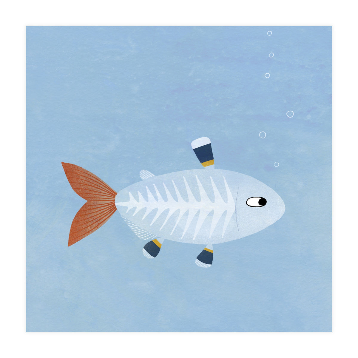 X Ray Tetra (Print Only)