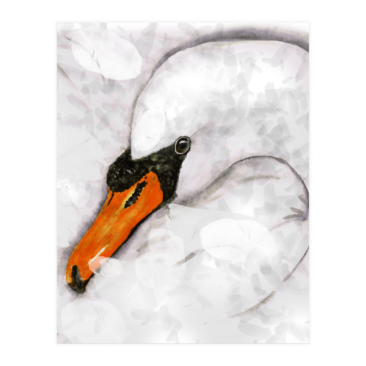 Mute swan (Print Only)