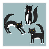Black and White Tuxedo Cats (Print Only) thumbnail