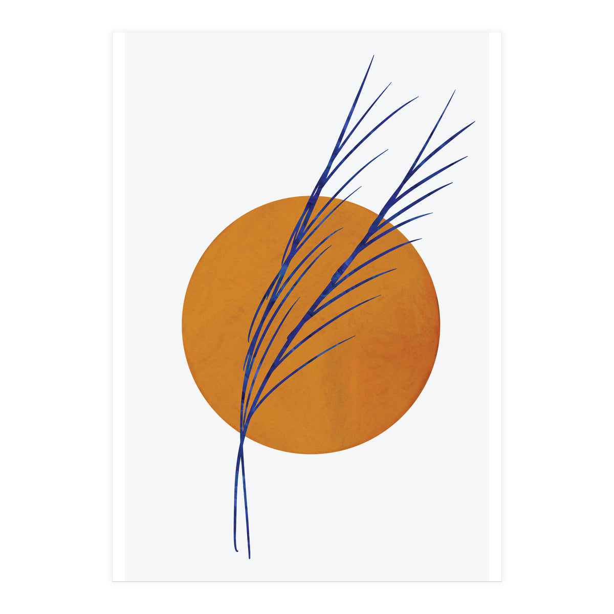 Floral Abstract Study 2  (Print Only)