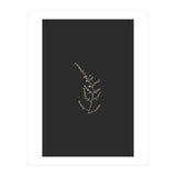 Delicate Golden Fynbos Botanicals on Black (Print Only) thumbnail