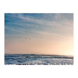 Pelican Sunset (Print Only) thumbnail