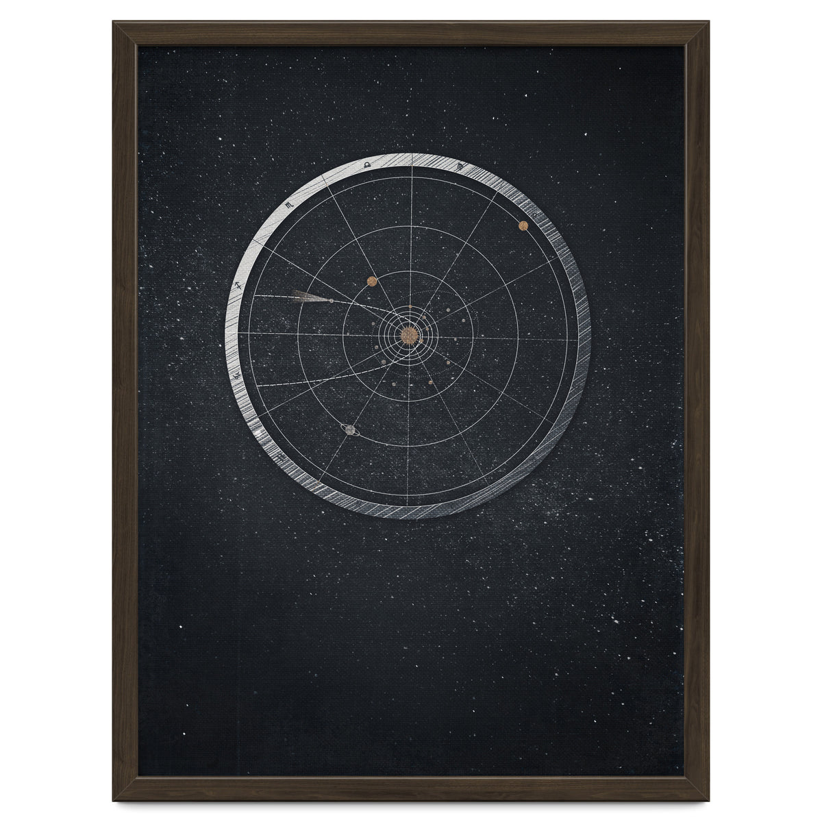 Vintage Cosmos: Hayley's comet