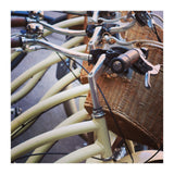 Stacks of bicycles (Print Only) thumbnail