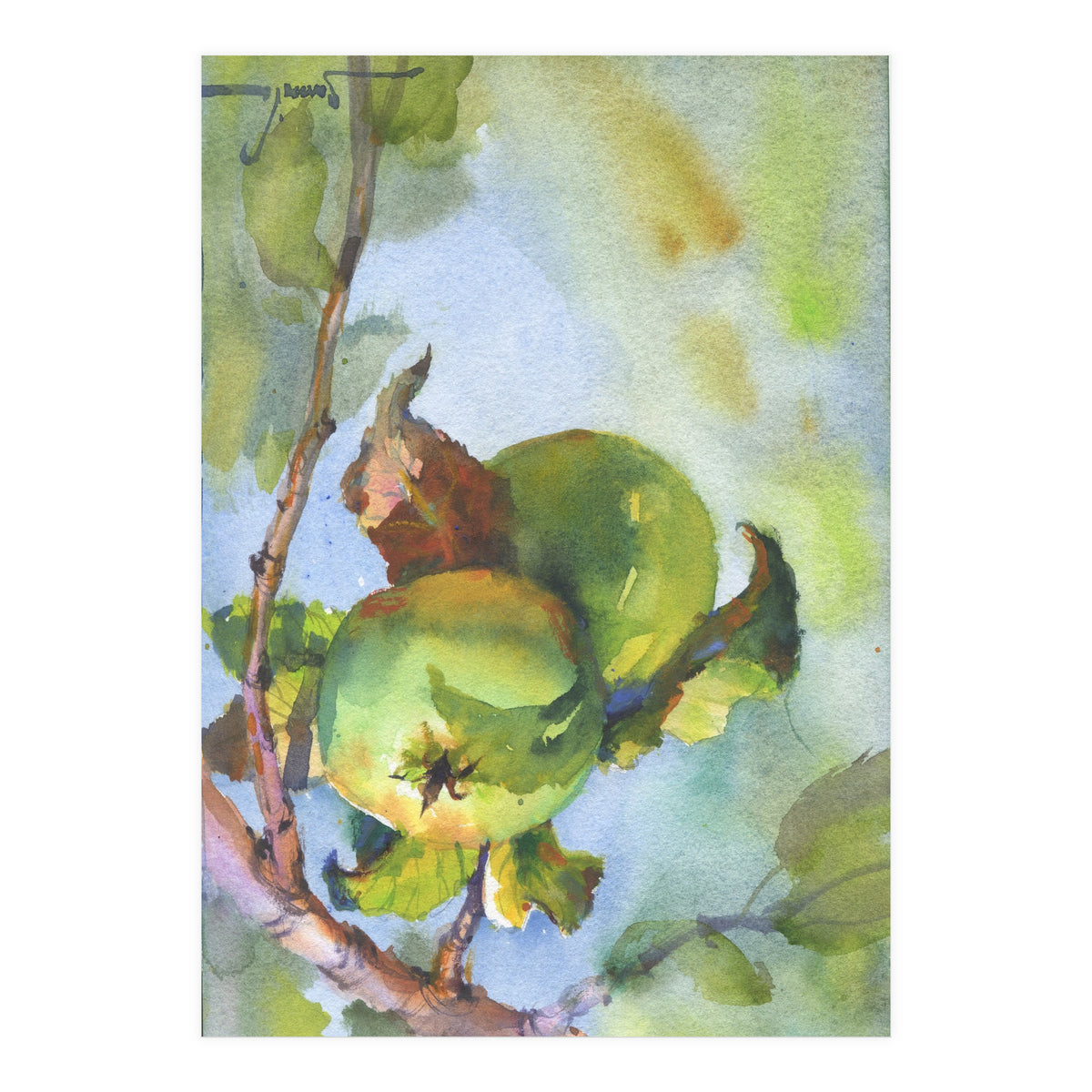 Apples on a branch (Print Only)