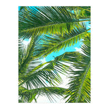 Life Is Better With Palm Trees (Print Only) thumbnail