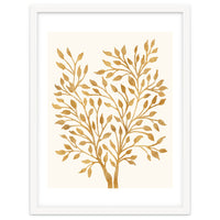 Golden Ficus 4x5