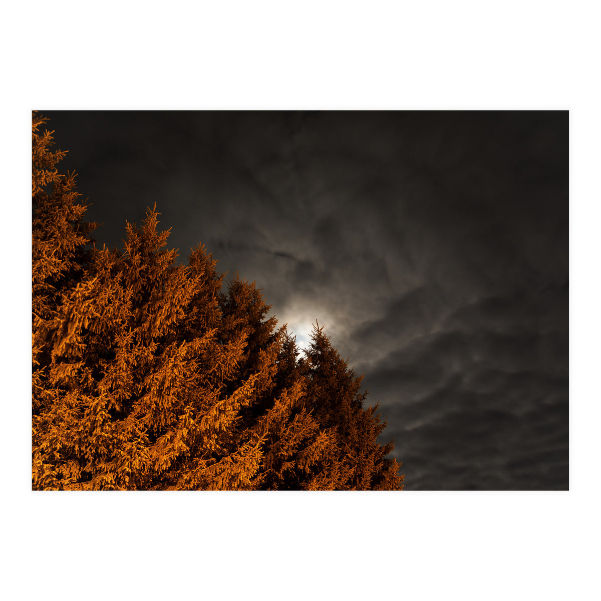 Howling (Print Only)