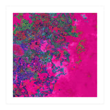 Fuchsia Dream (Print Only) thumbnail