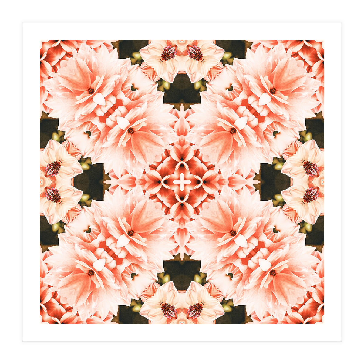 Blush Mandala (Print Only)