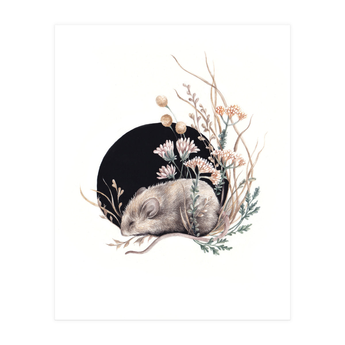 Sleeping Mouse (Print Only)