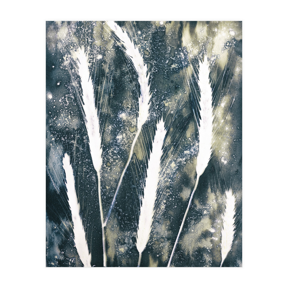 Indigo Blue Botanical Leaves No. 15 (Print Only)