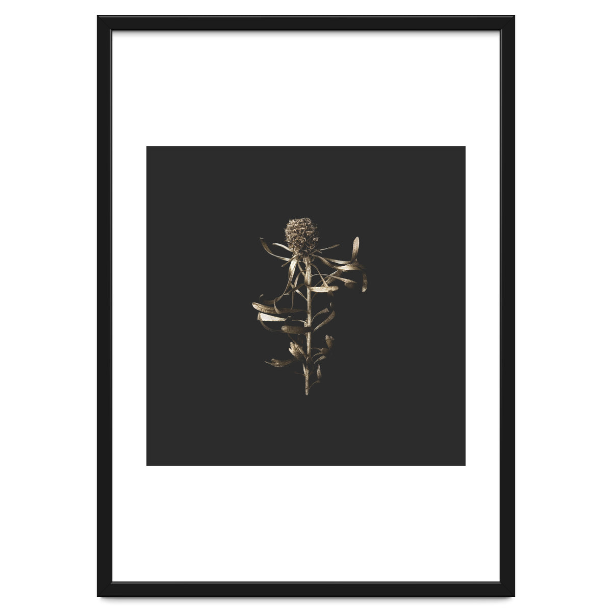 Golden Botanicals -  Square