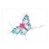 Peacock Butterfly (Print Only) thumbnail