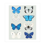 Lepidoptery Study No. 3 (Print Only) thumbnail