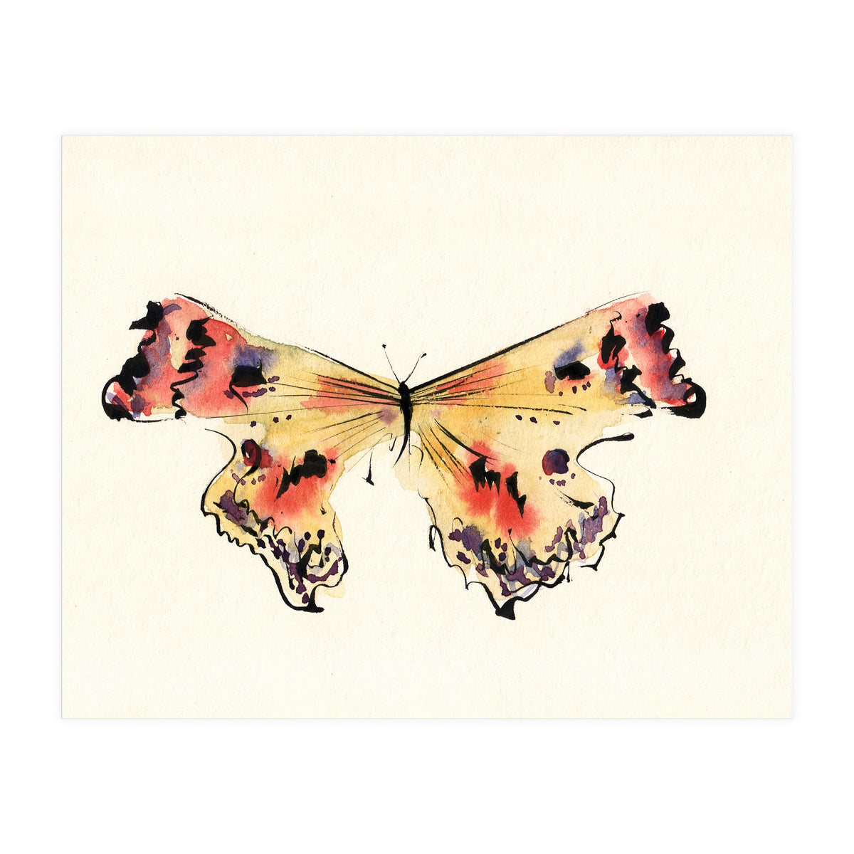 Teacher (Print Only)