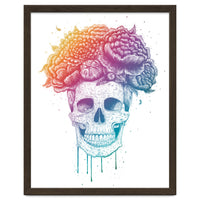 Colorful Skull