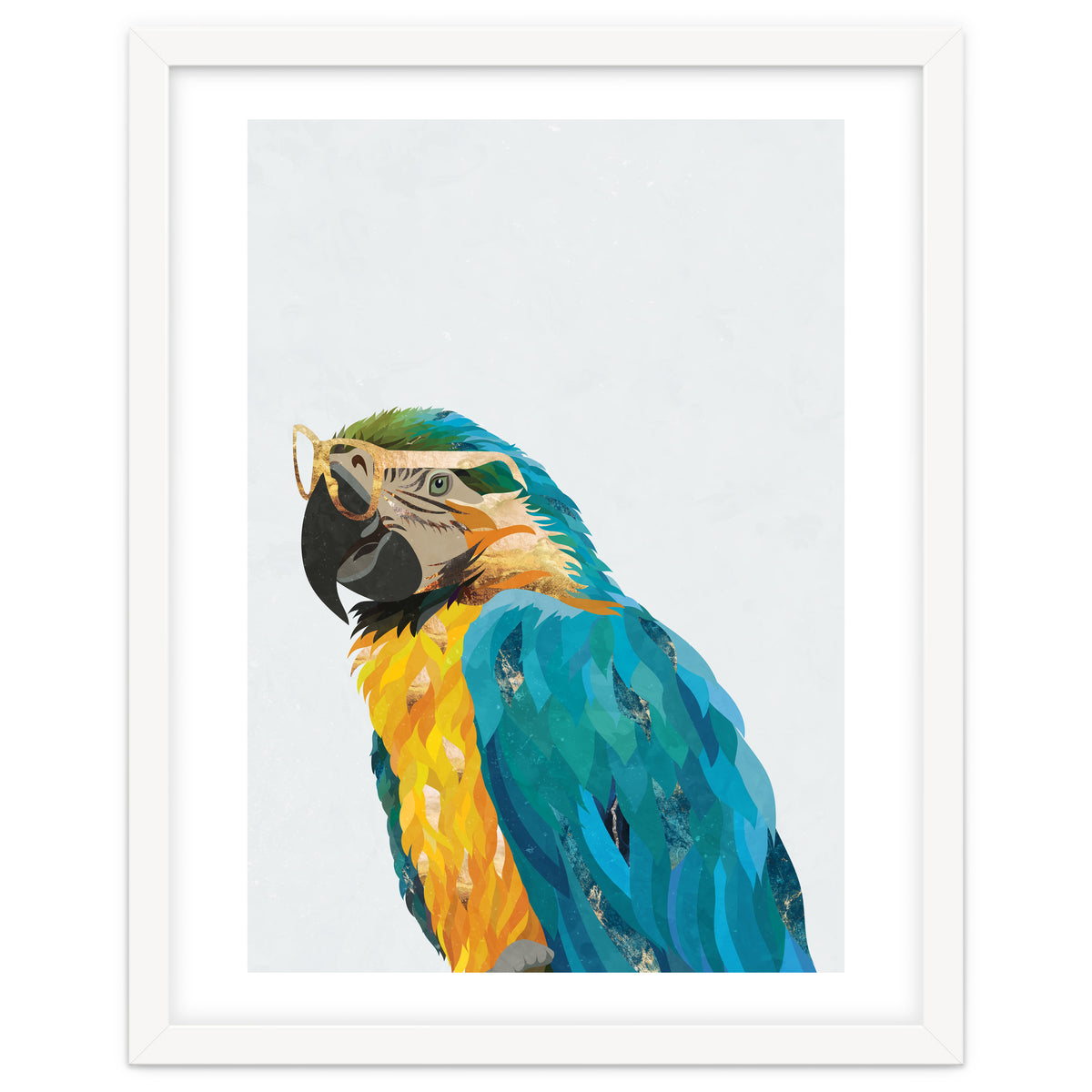 Macaw Portrait wearing gold glasses