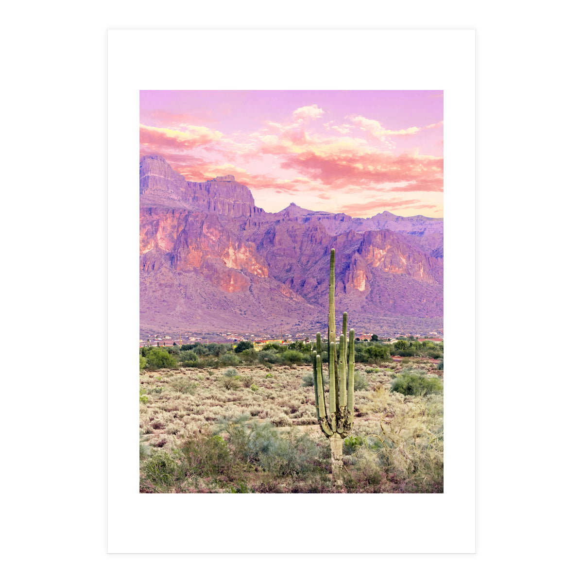 Cactus Sunset (Print Only)