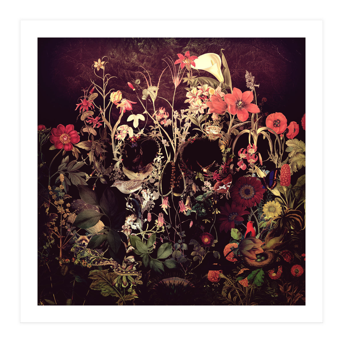 Bloom Skull (Print Only)