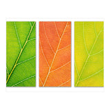 Autumn Leaves (Print Only) thumbnail