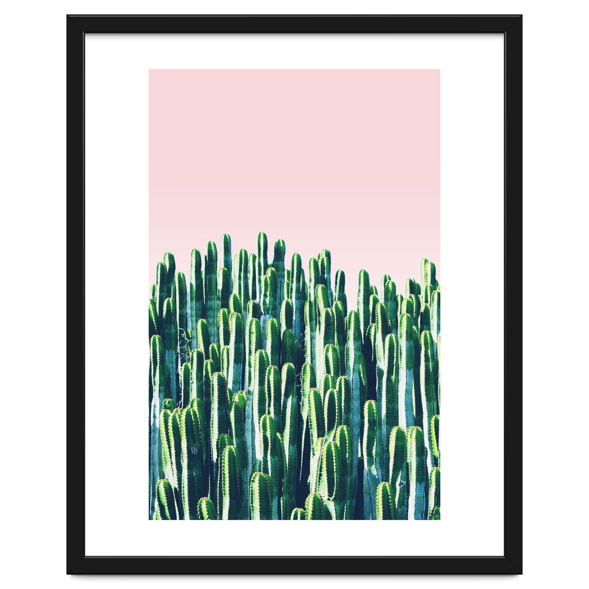Cactus & Sunset II