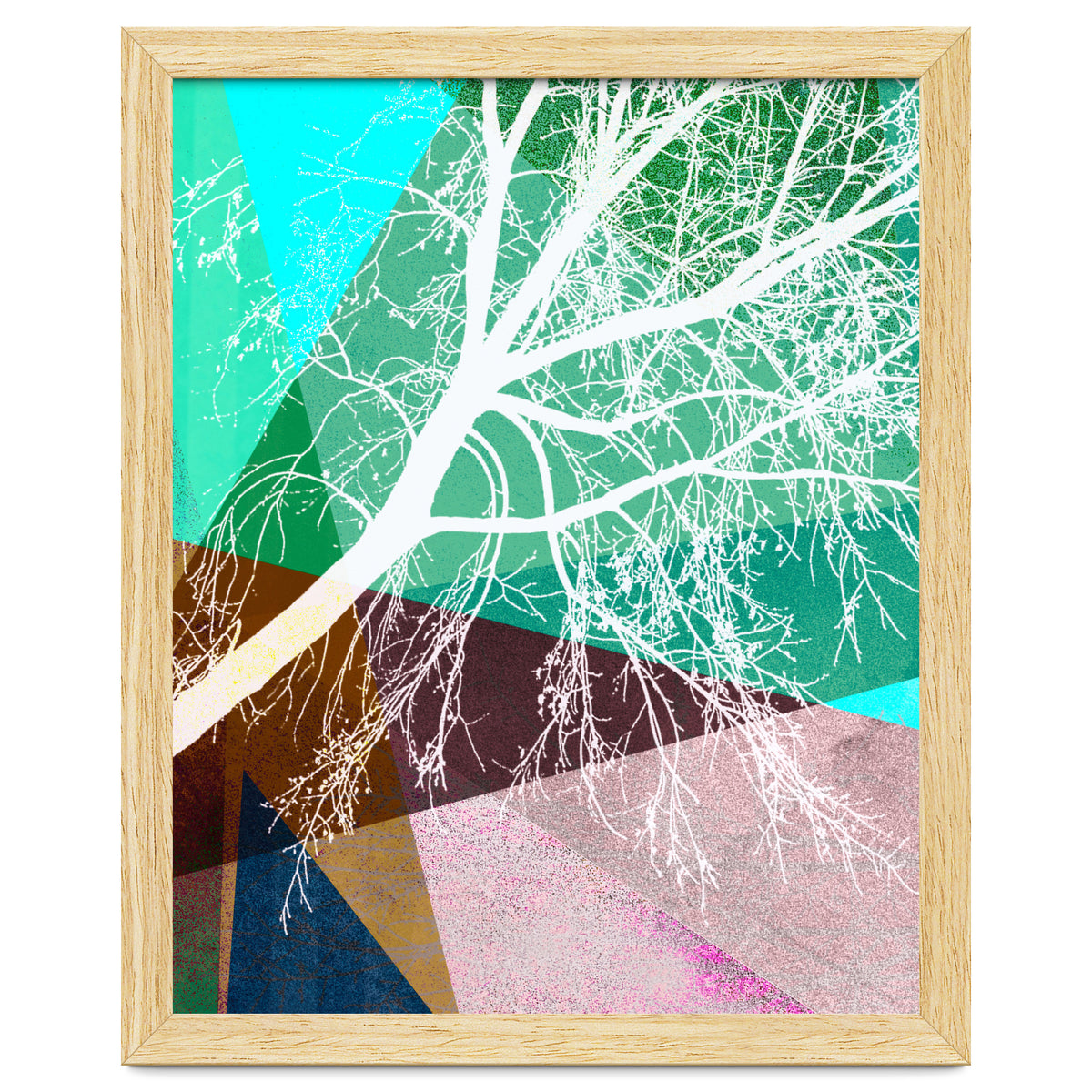 P16-H Trees And Triangles