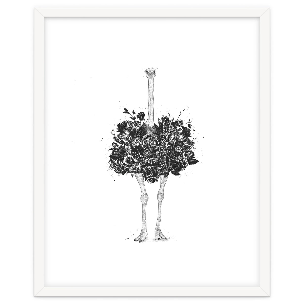 Floral Ostrich