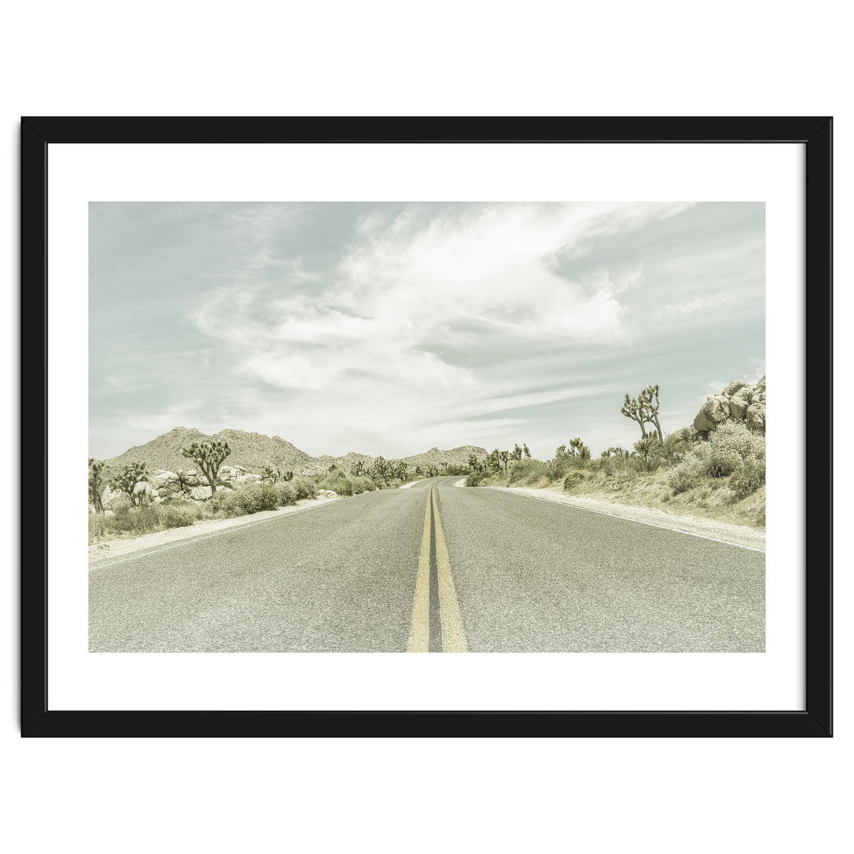Joshua Trees, Park Boulevard | Vintage